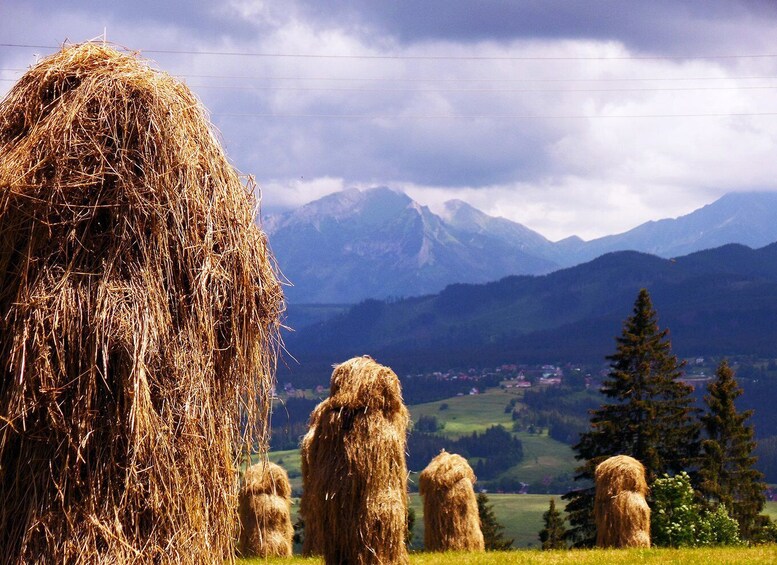 Picture 1 for Activity Zakopane City Highlights Private Walking Tour with a Guide