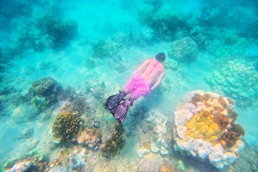 Picture 2 for Activity Phuket: 3 Micro Khai Islands Half-Day or Full-Day Tour