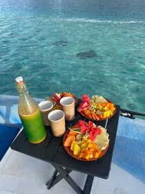 Tahiti island: 5 hours Snorkeling Picnic