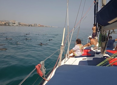 Fuengirola: Sailing excursion to spot dolphins with drinks.