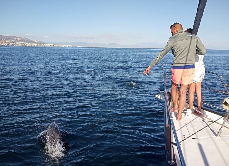 Picture 5 for Activity Fuengirola: Sailing excursion to spot dolphins with drinks.