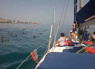 Fuengirola: Sailing excursion to spot dolphins with drinks.