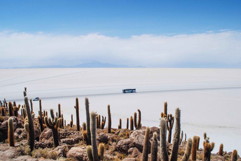 Picture 6 for Activity From Uyuni | Tour Uyuni Salt Flat & Train Cemetery Full day