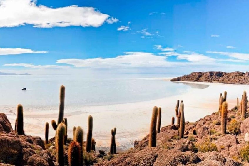 Picture 1 for Activity From Uyuni | Tour Uyuni Salt Flat & Train Cemetery Full day