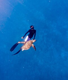 Private snorkelling with turtle and romantice statue