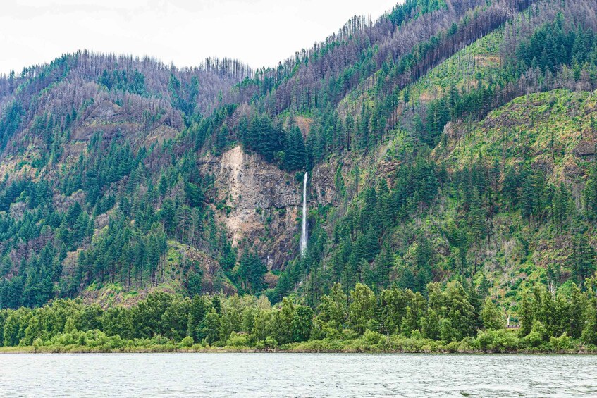 Picture 7 for Activity From Portland: 7 Wonders of the Gorge Jetboat Cruise