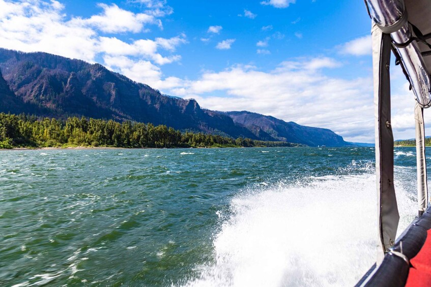 Picture 8 for Activity From Portland: 7 Wonders of the Gorge Jetboat Cruise