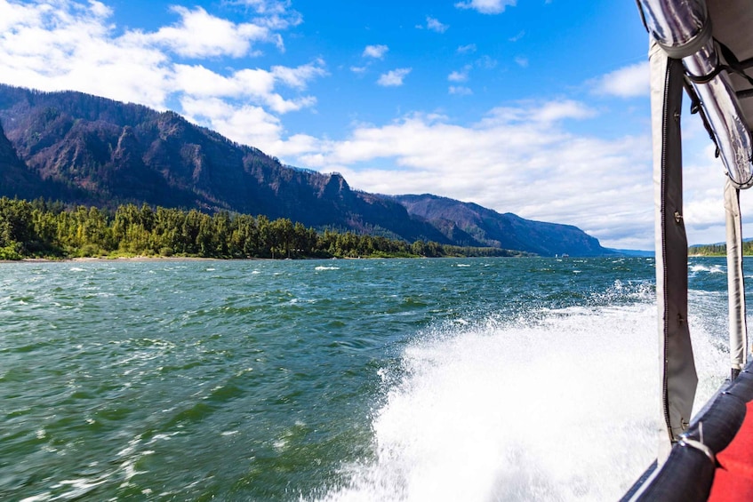 Picture 8 for Activity From Portland: 7 Wonders of the Gorge Jetboat Cruise