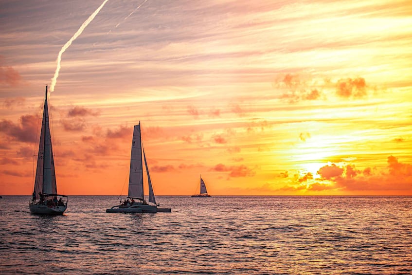 Sunny Beach: Sunset Catamaran Cruise with Dinner & Prosecco