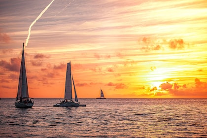 Sunny Beach: Sunset Catamaran Cruise with Dinner & Prosecco