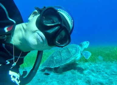 Abades: Guided Snorkelling Tour with Photos