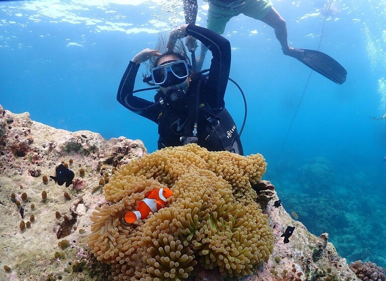 Picture 11 for Activity Discover Scuba Diving in Boracay