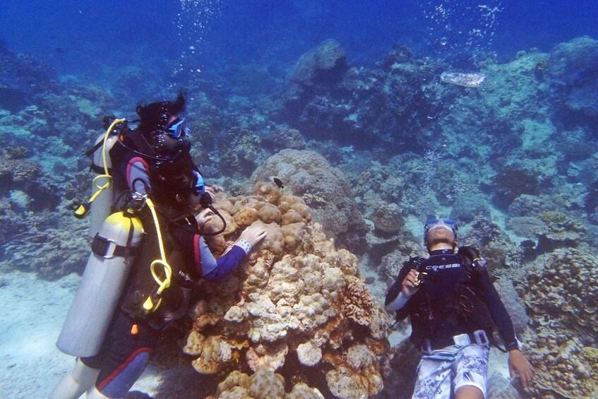 Picture 4 for Activity Discover Scuba Diving in Boracay