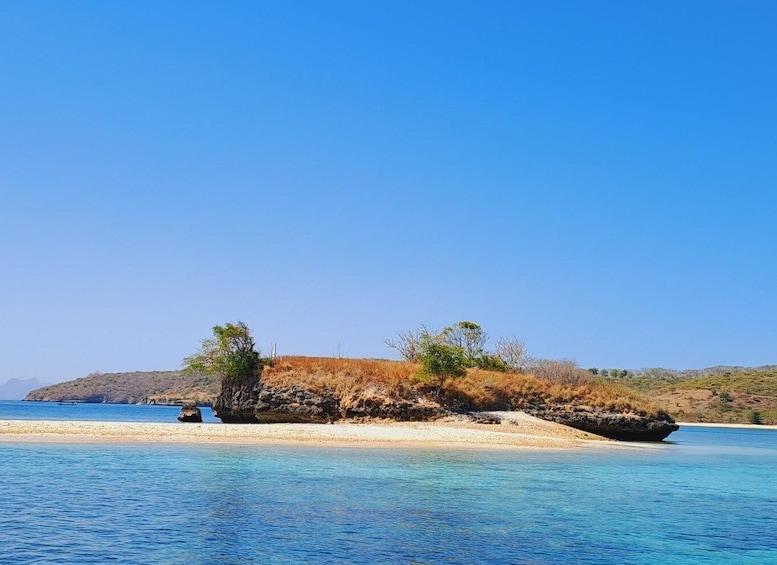 Picture 4 for Activity Lombok: Pink Beach, Snorkeling, & Tanjung Ringgit Tour