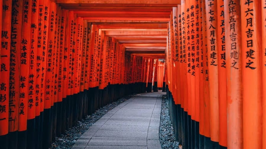 From Osaka/Kyoto: Private Kyoto & Nara Day Trip with Pickup