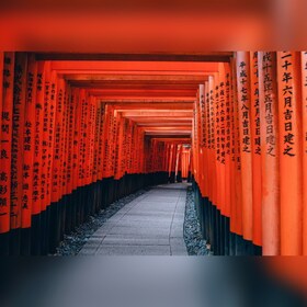 Desde Osaka/Kioto: excursión privada de un día a Kioto y Nara con recogida