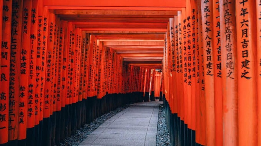 From Osaka/Kyoto: Private Kyoto & Nara Day Trip with Pickup