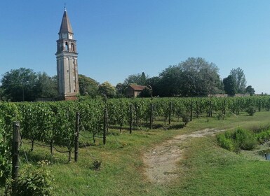 The gems of the lagoon. Torcello Burano Murano