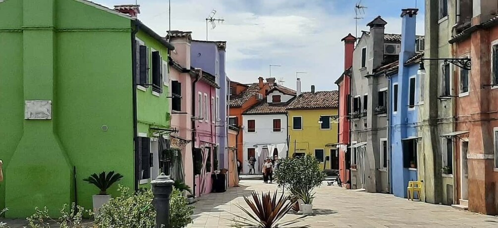 Picture 3 for Activity The gems of the lagoon. Torcello Burano Murano