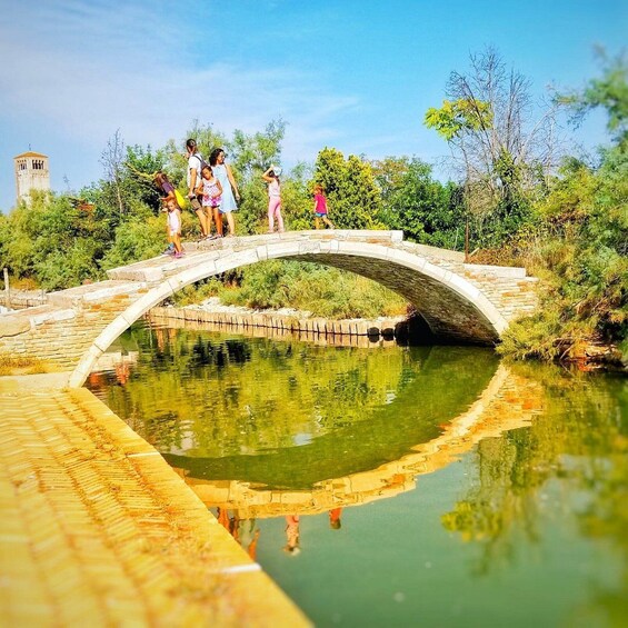 Picture 9 for Activity The gems of the lagoon. Torcello Burano Murano