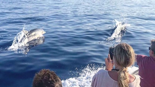 From Cala Gonone: naturalistic excursion on a RIB