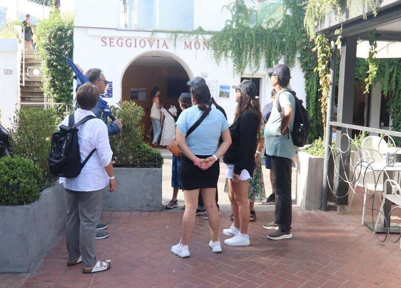 Picture 7 for Activity From Capri: Blue Grotto, Capri and Anacapri Guided Tour