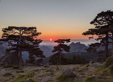 巴維拉/HIGH ROCKS 位於科西嘉白雲岩之中