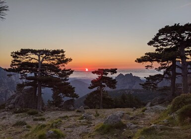 BAVELLA/HØJE FELSER Blandt de korsikanske dolomitter