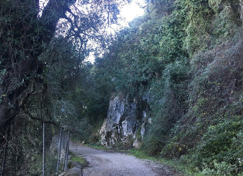 Picture 10 for Activity Corfu: South Route Small Group Tour by Jeep