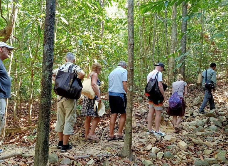 Picture 2 for Activity Langkawi: Morning Rainforest Walking Tour