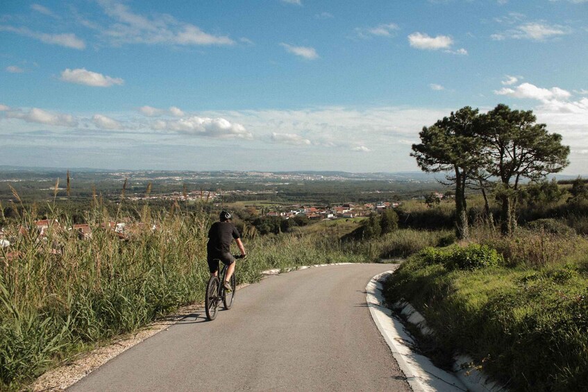 Picture 5 for Activity Óbidos: Lagoon Bike Tour