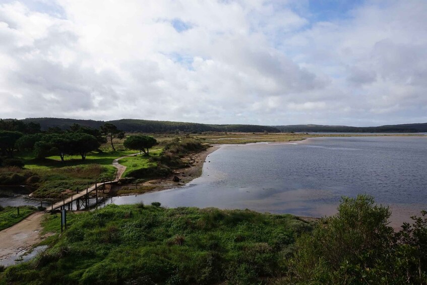 Picture 4 for Activity Óbidos: Lagoon Bike Tour