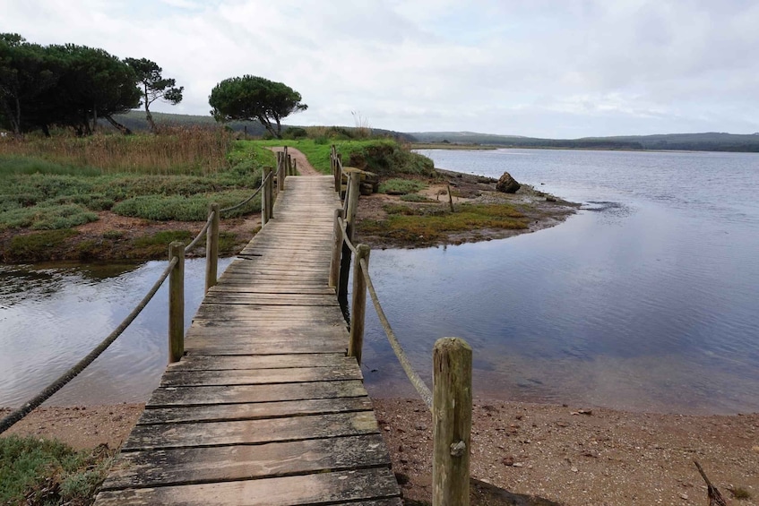 Picture 3 for Activity Óbidos: Lagoon Bike Tour