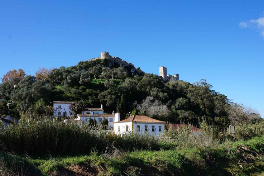 Picture 2 for Activity Óbidos: Lagoon Bike Tour