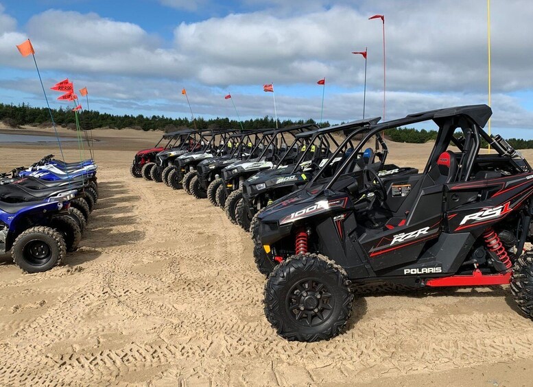 Picture 1 for Activity Winchester Bay: ATV and UTV 4-Hour Rental