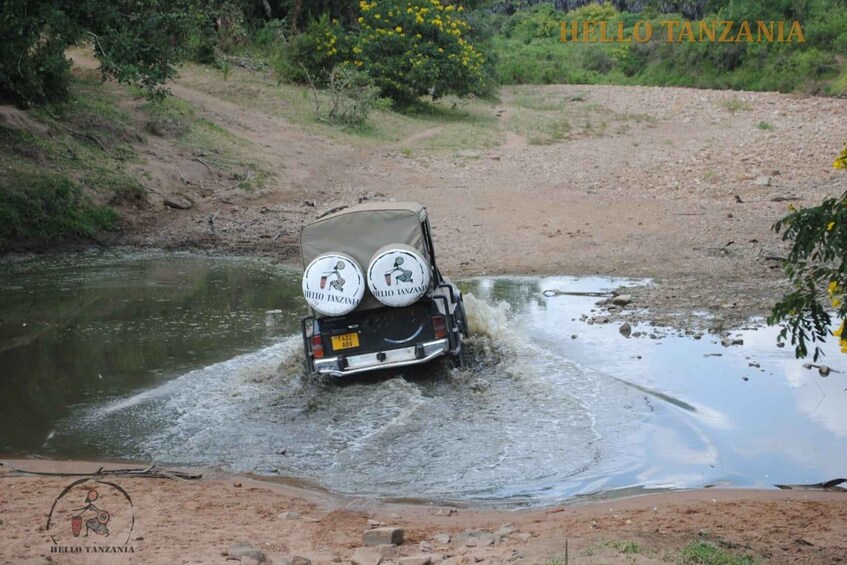 Picture 7 for Activity 3-Day Mikumi Safari Adventure