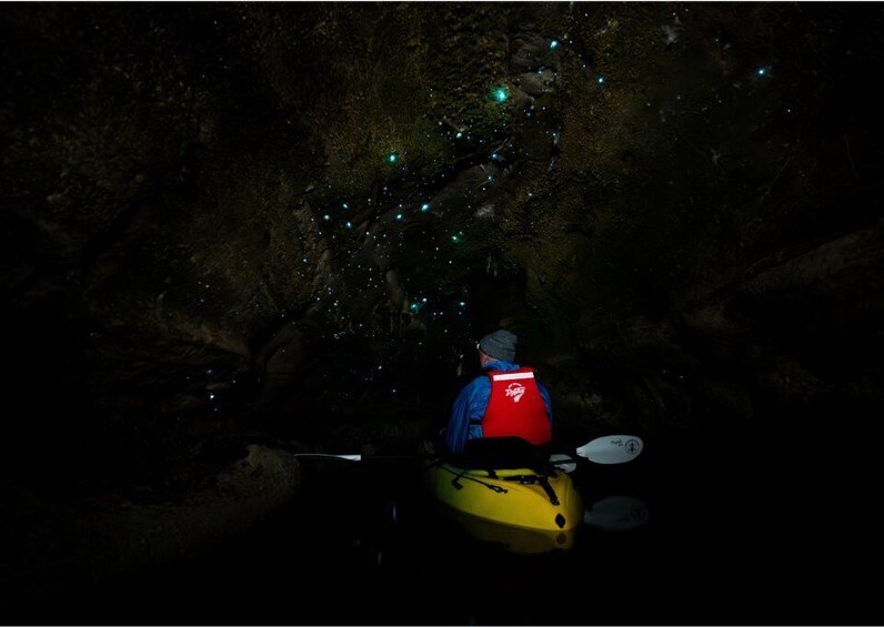 Picture 4 for Activity Rotorua: Glow Worm Kayak Tour