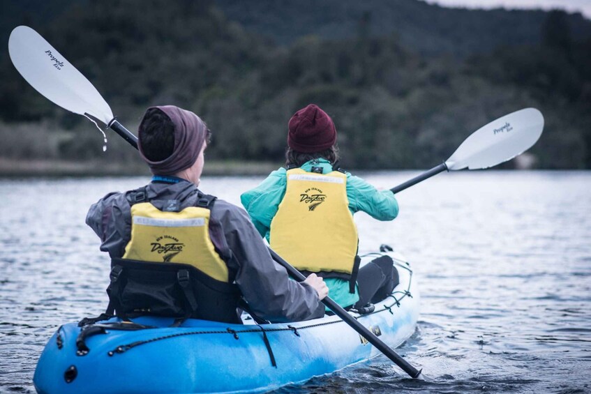 Picture 3 for Activity Rotorua: Evening Glow Worm Guided Kayaking Tour