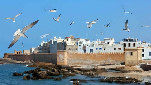 Vanuit Marrakech: Dagtocht naar Essaouira