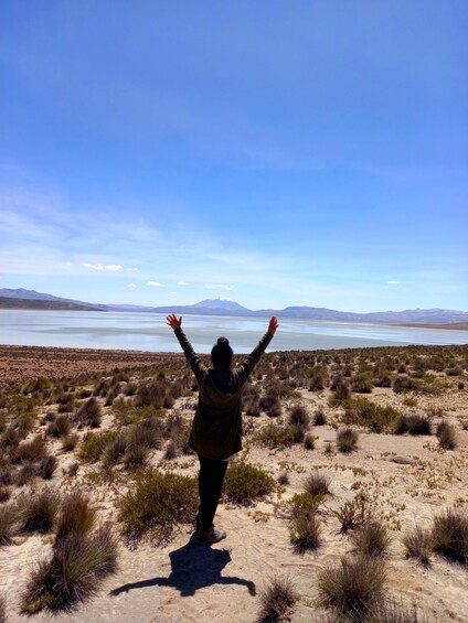 Picture 3 for Activity Salinas Salt Lagoon Private tour: Day Trip from Arequipa