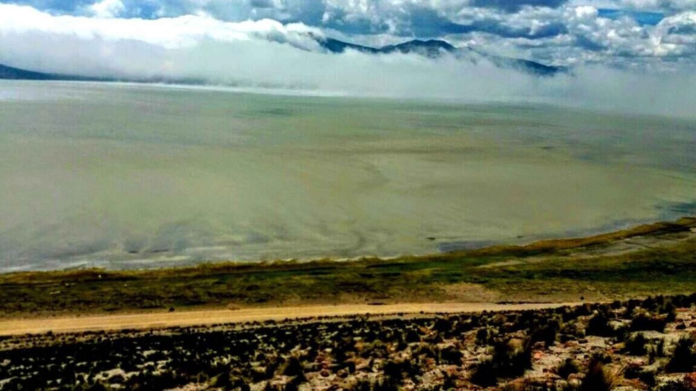 Picture 2 for Activity Salinas Salt Lagoon Private tour: Day Trip from Arequipa