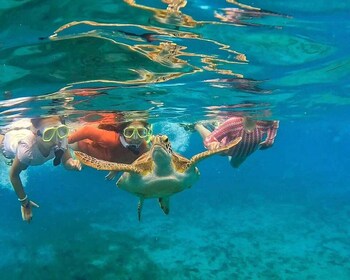 West Palm Beach: Blue Heron Bridge Guided Snorkelling Tour