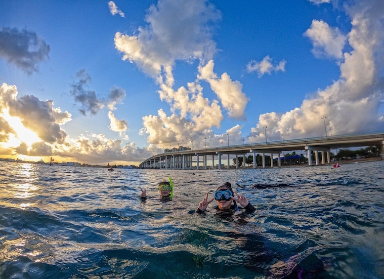 Picture 4 for Activity West Palm Beach: Blue Heron Bridge Guided Snorkeling Tour