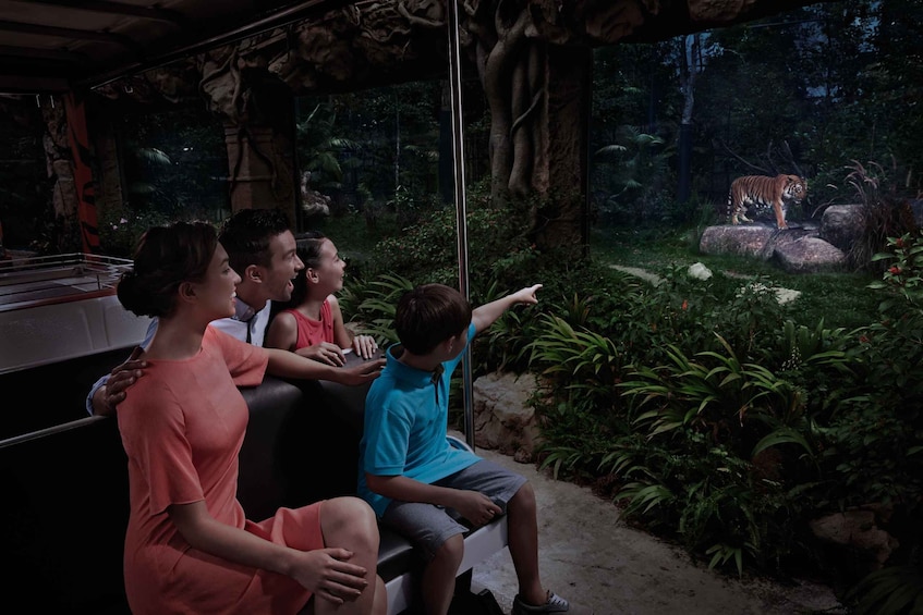 Picture 3 for Activity Singapore: Night Safari Admission Ticket with Tram Ride