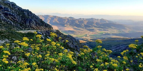 Swartberg: Half Day Swartberg Pass and Private Guided Tour