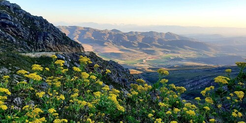 Swartberg: Half Day Swartberg Pass and Private Guided Tour