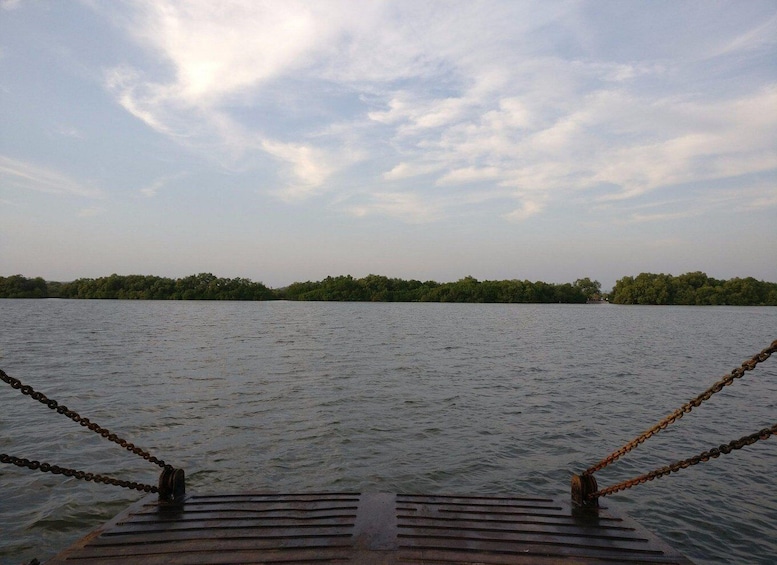 Picture 20 for Activity Explore Divar Island:Nature & Backwater boating in North Goa