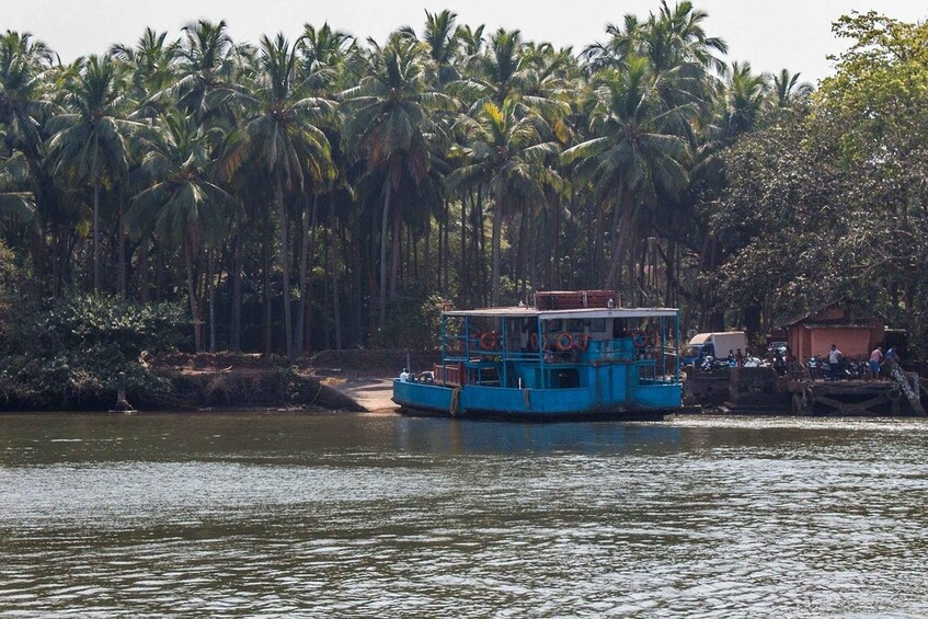 Picture 18 for Activity Explore Divar Island:Nature & Backwater boating in North Goa