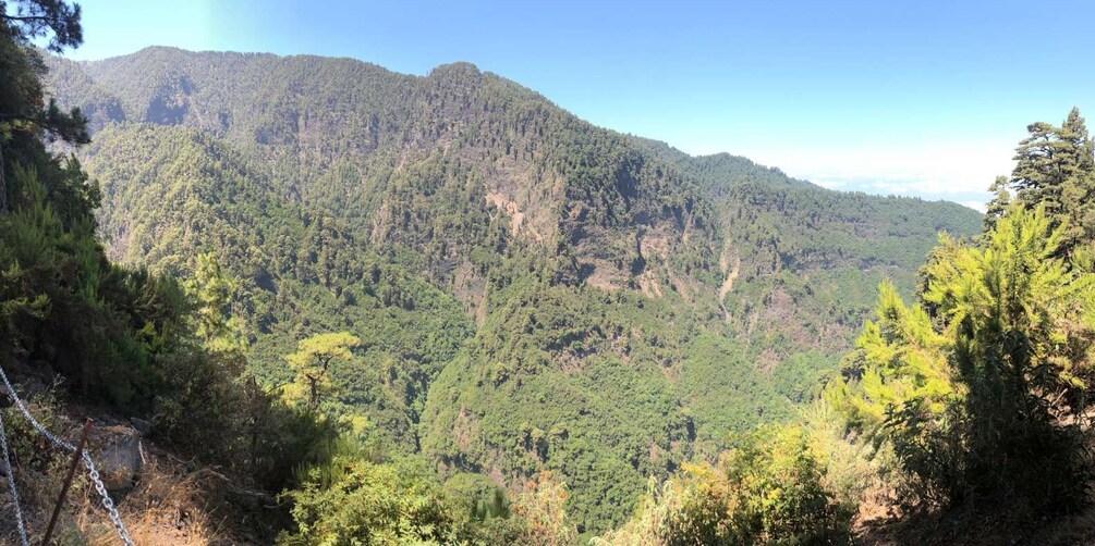 Picture 2 for Activity La Palma: Return Bus transfer to Marcos y Cordero Springs