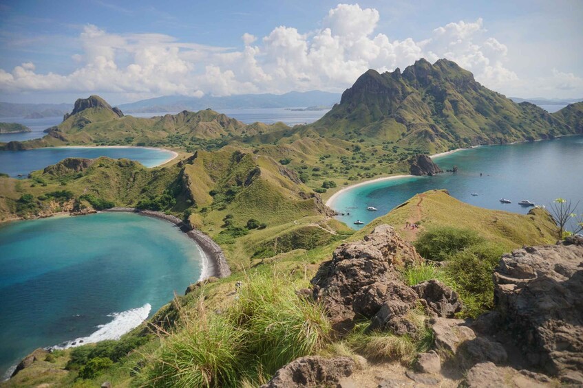 Picture 6 for Activity Labuan Bajo: One Day Tour to Explore Komodo National Park